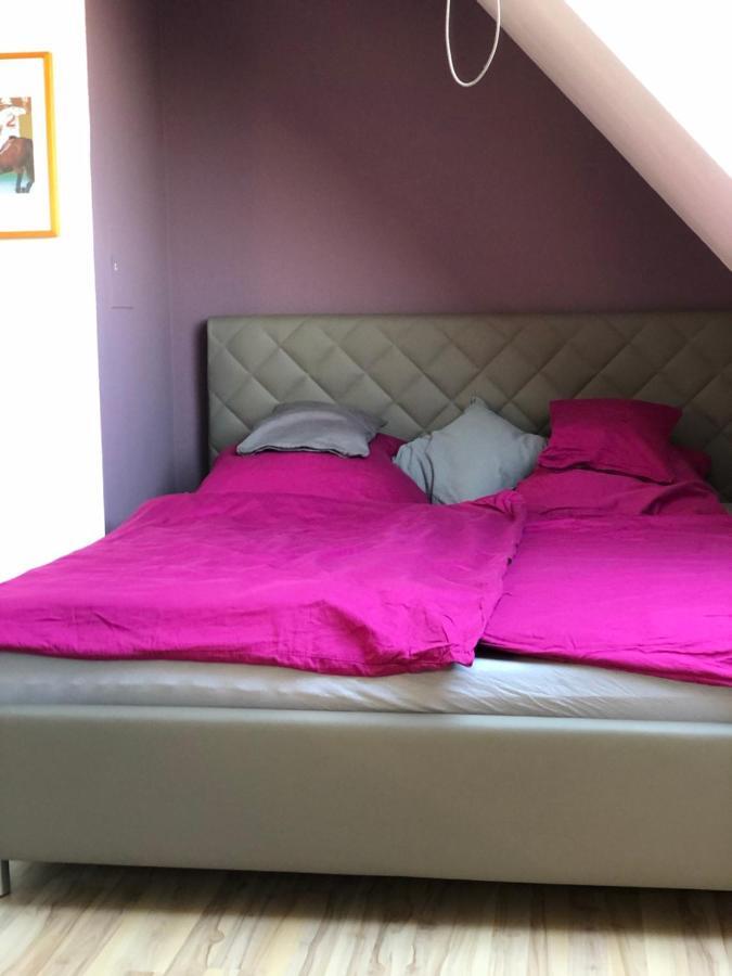 Einzel-Apartment Duesseldorf Oberkassel Extérieur photo